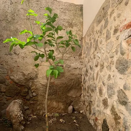 La Casa De Leo *